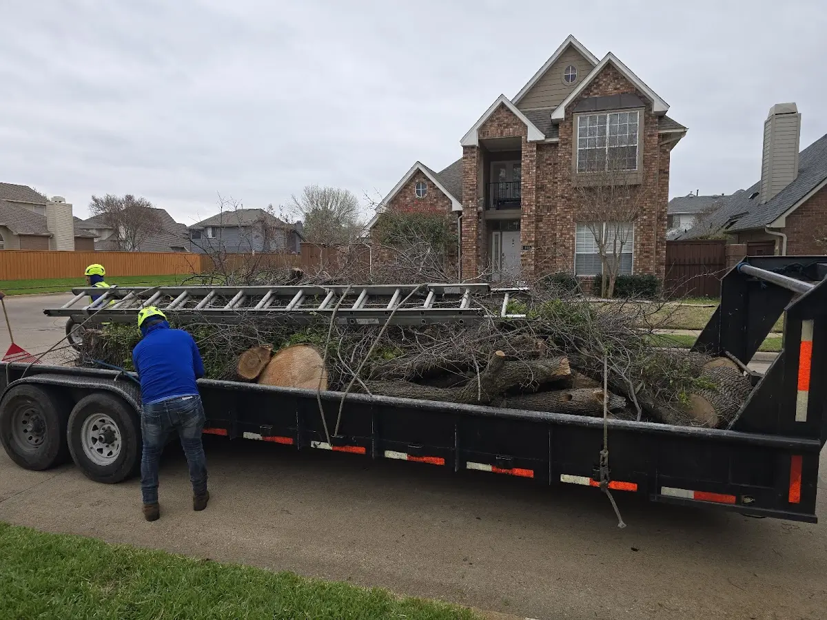 Expert Lot Clearing with proper safety equipment in Odessa